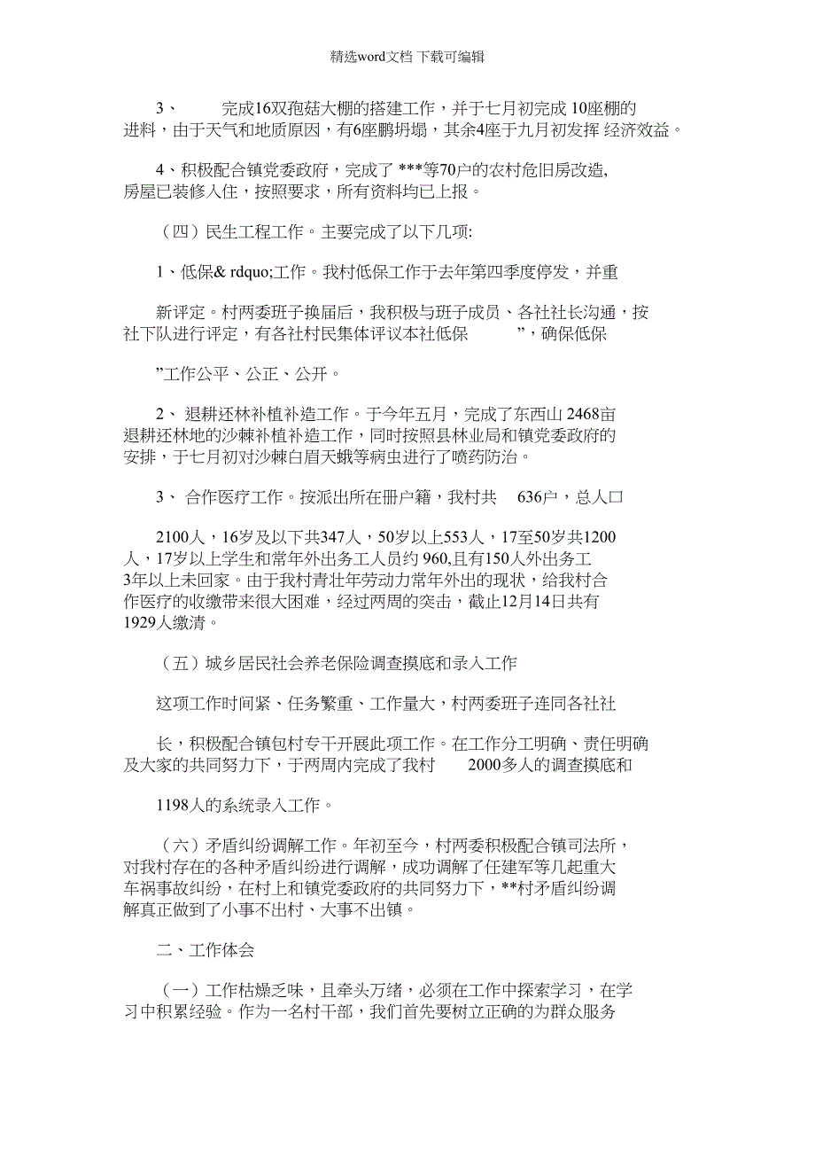 2022年村主任年终总结例文终工作总结_第2页