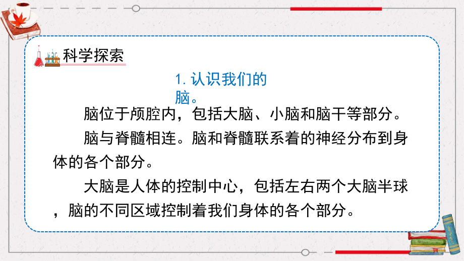 教科版小学科学五年级上册教学课件 4.4《身体的“总指挥”》_第3页