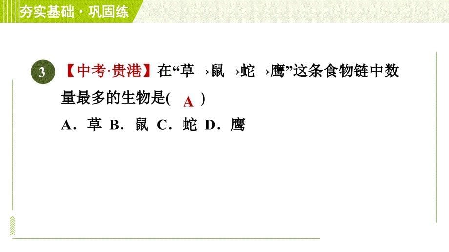 华师版七年级下册科学 第5章 5.2.2食物链和食物网　生态农业 习题课件_第5页