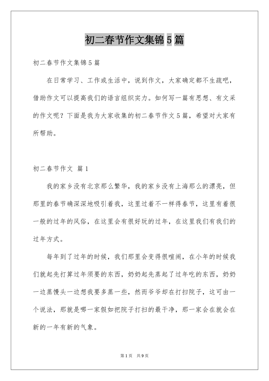 初二春节作文集锦5篇例文_第1页