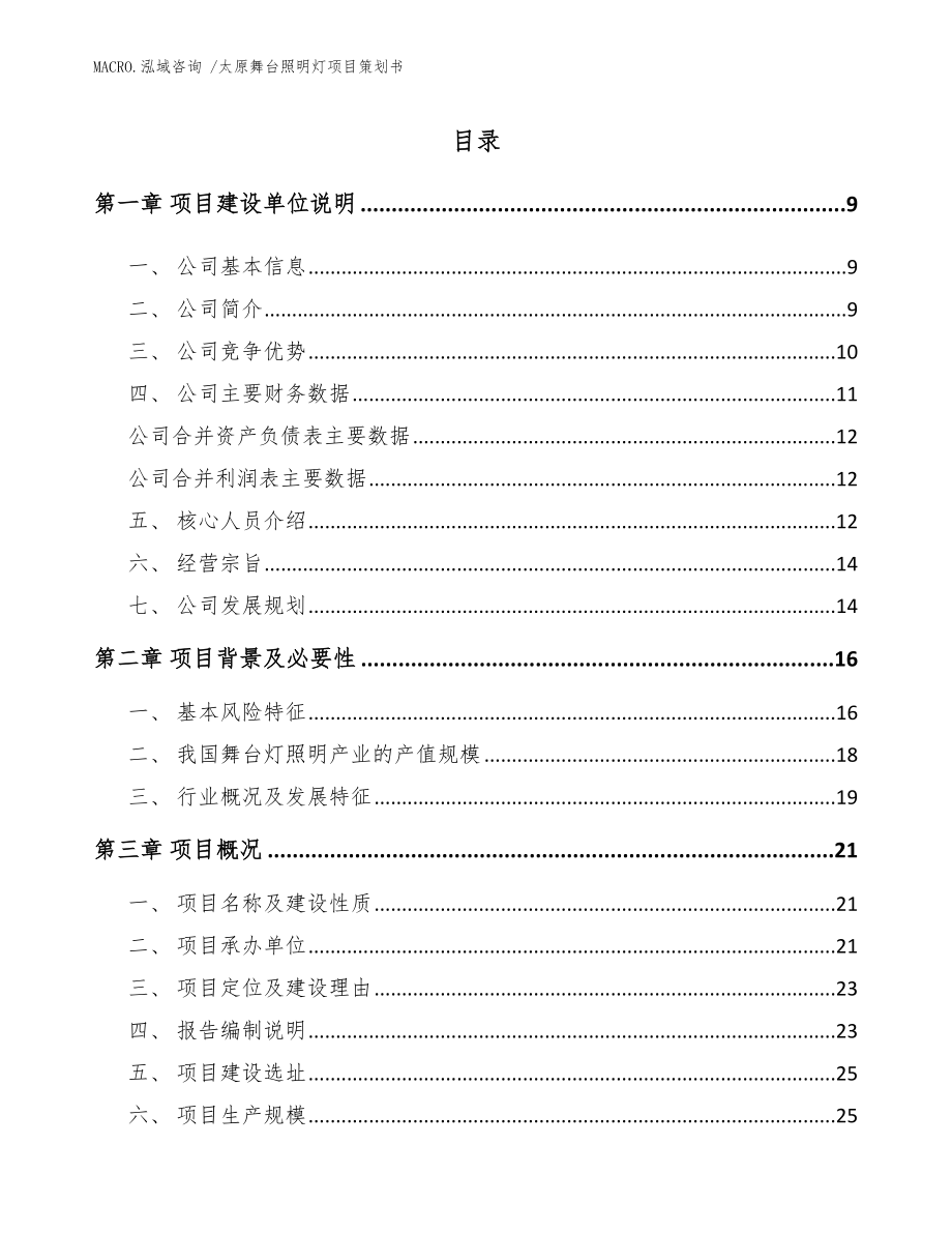 太原舞台照明灯项目策划书_范文模板_第2页