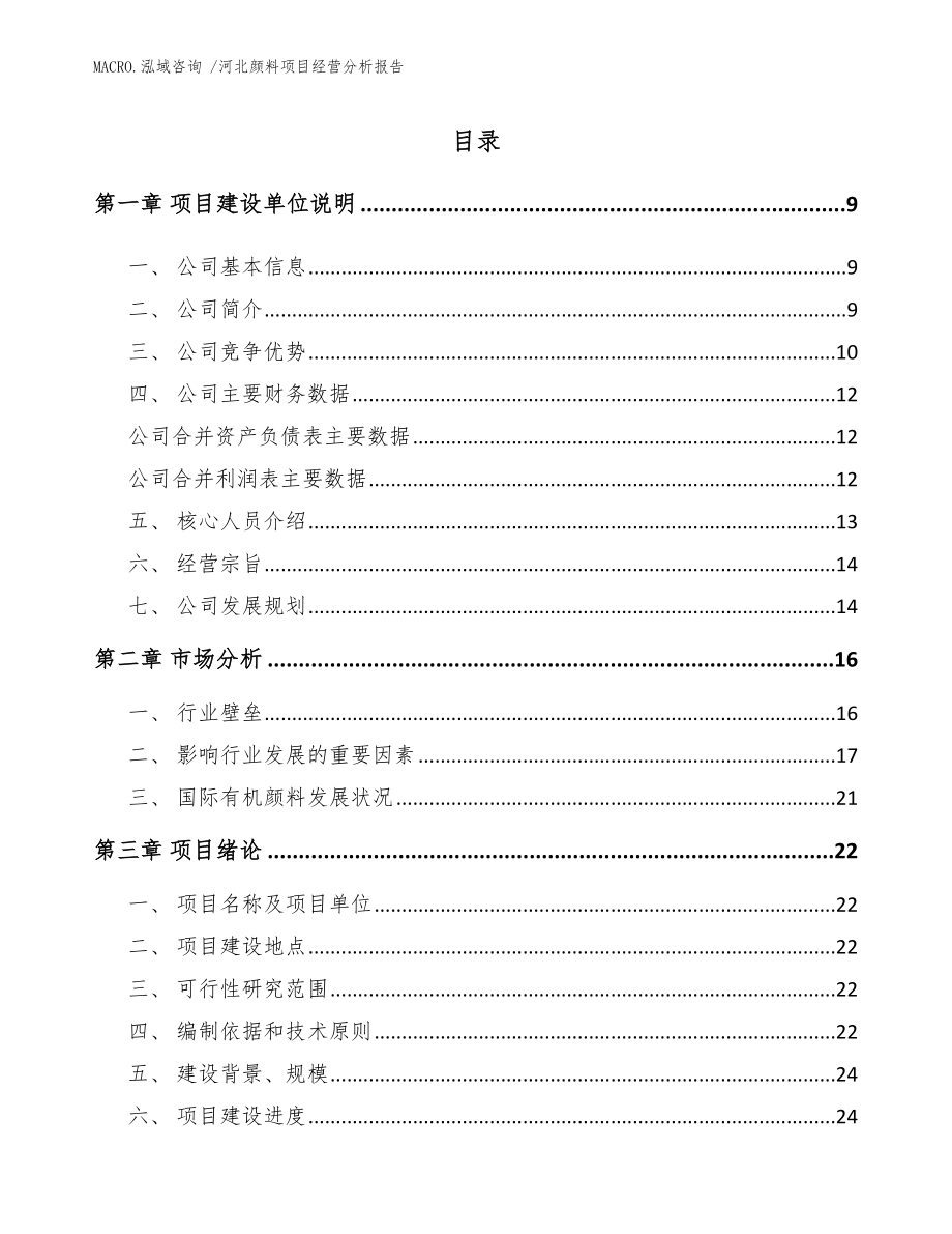 河北颜料项目经营分析报告_参考范文_第2页