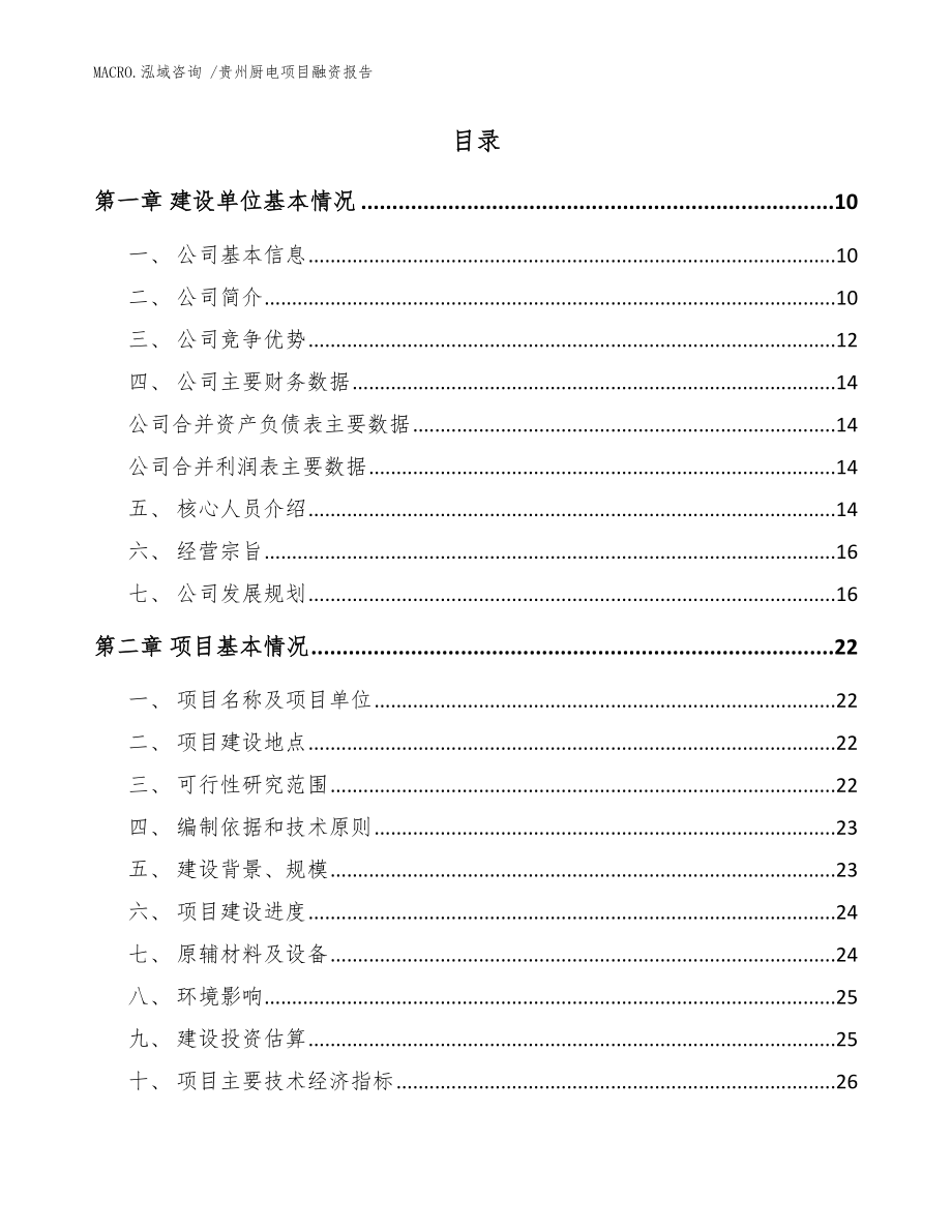 贵州厨电项目融资报告模板范本_第2页