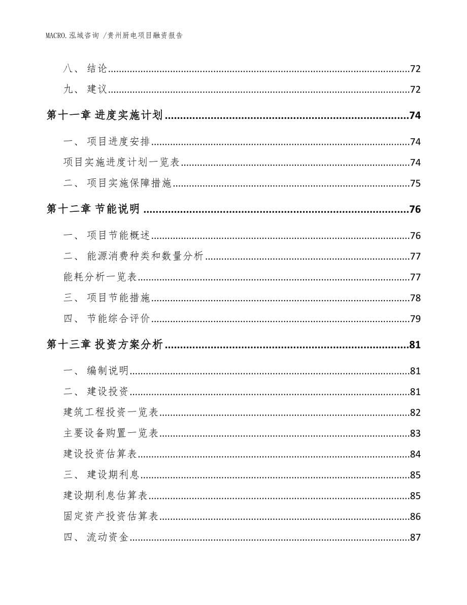 贵州厨电项目融资报告模板范本_第5页