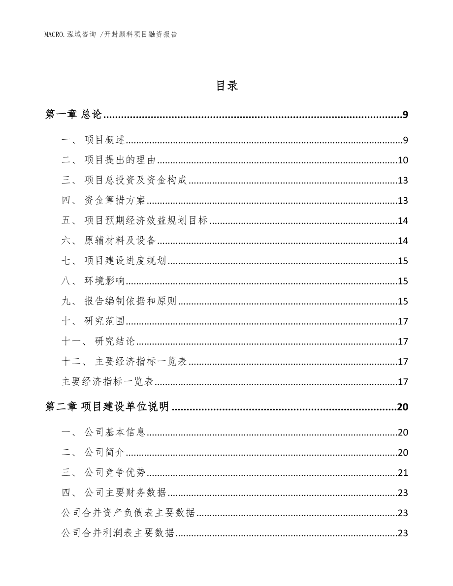 开封颜料项目融资报告模板_第3页