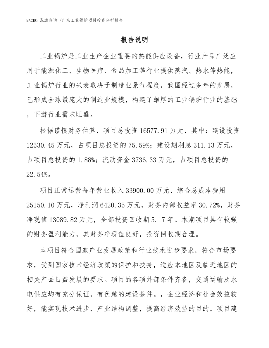 广东工业锅炉项目投资分析报告（范文）_第2页