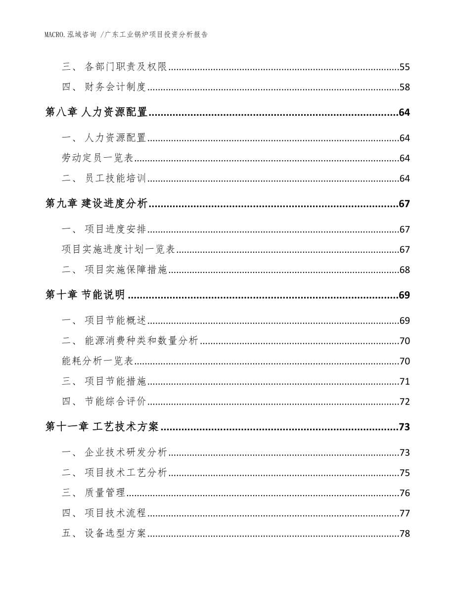 广东工业锅炉项目投资分析报告（范文）_第5页