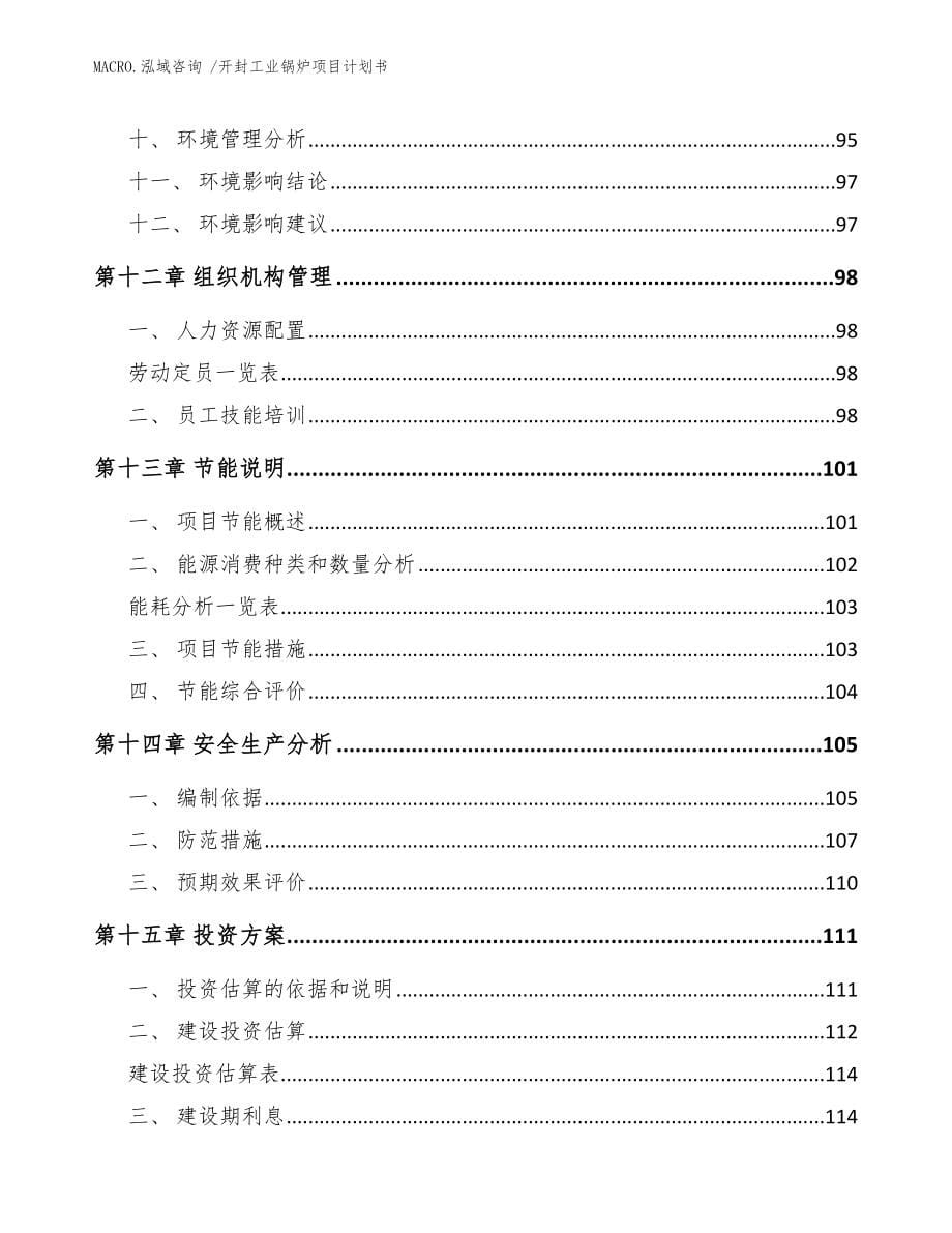 开封工业锅炉项目计划书_模板范文_第5页