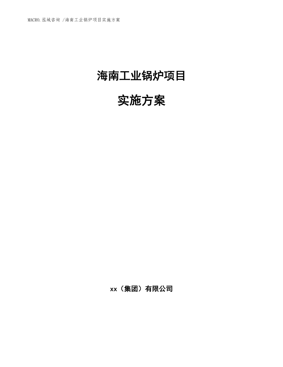 海南工业锅炉项目实施方案（范文模板）_第1页