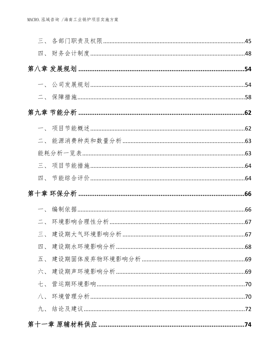 海南工业锅炉项目实施方案（范文模板）_第4页