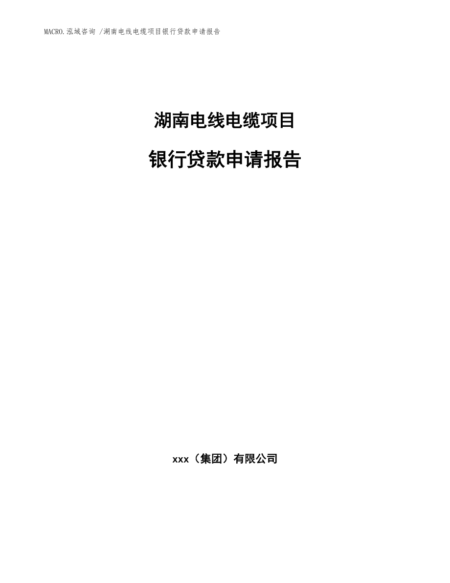 湖南电线电缆项目银行贷款申请报告参考模板_第1页