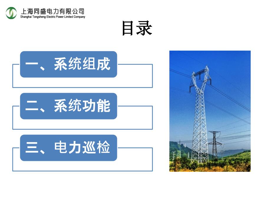 【精品】智能电力管理系统方案_第2页