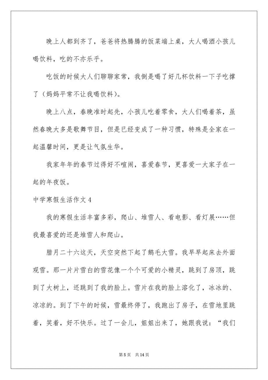 高中寒假生活作文例文_第5页