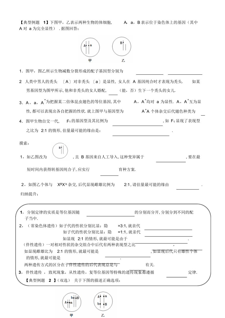 2022年高中生物《遗传的基本规律》导学案_第3页