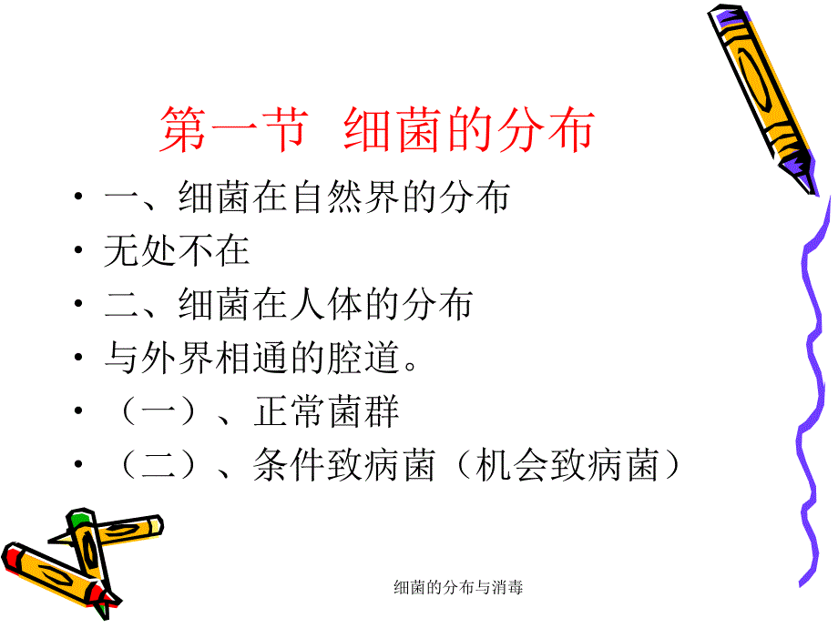 细菌的分布与消毒课件_第2页