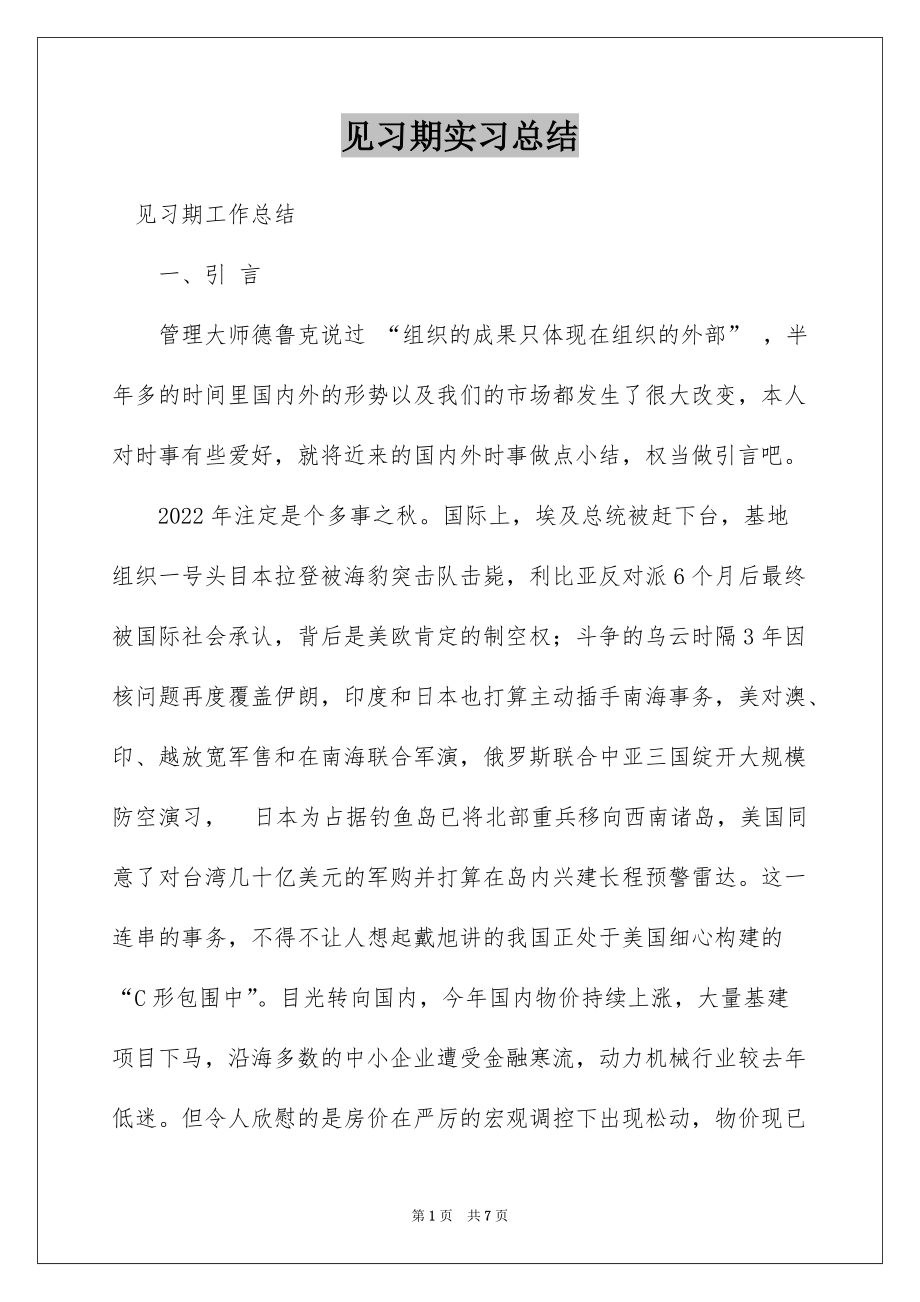 见习期实习总结_第1页