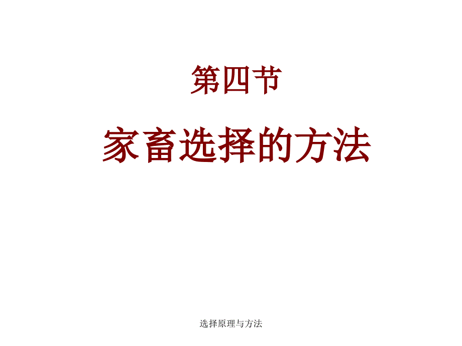 选择原理与方法课件_第1页