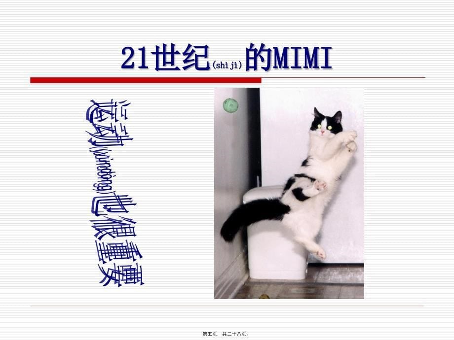 想当21世纪的MIMI不容易ppt_第5页