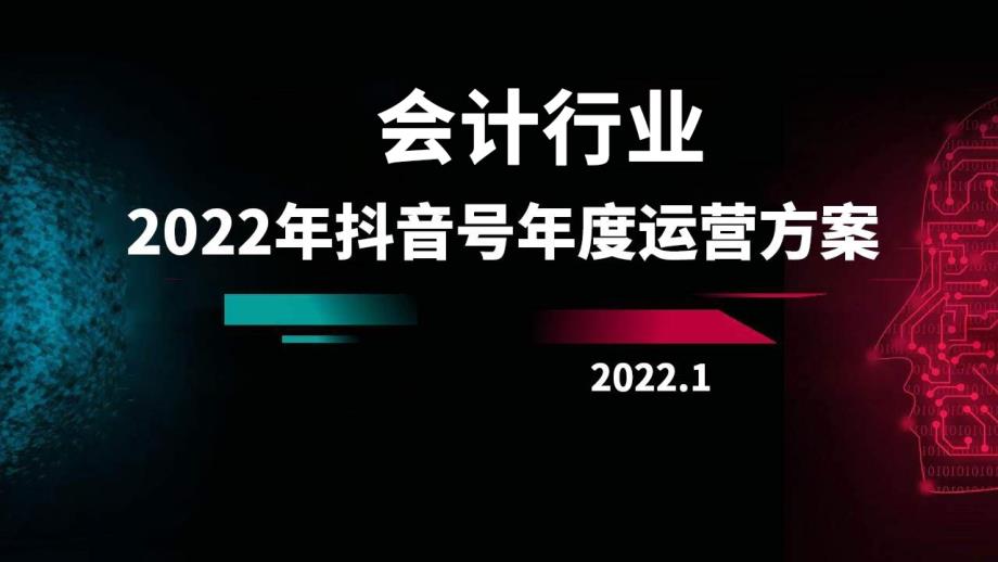 2022年会计行业抖音 年度运营方案_第1页