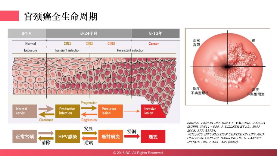 互联网+宫颈癌防控新范式_第4页