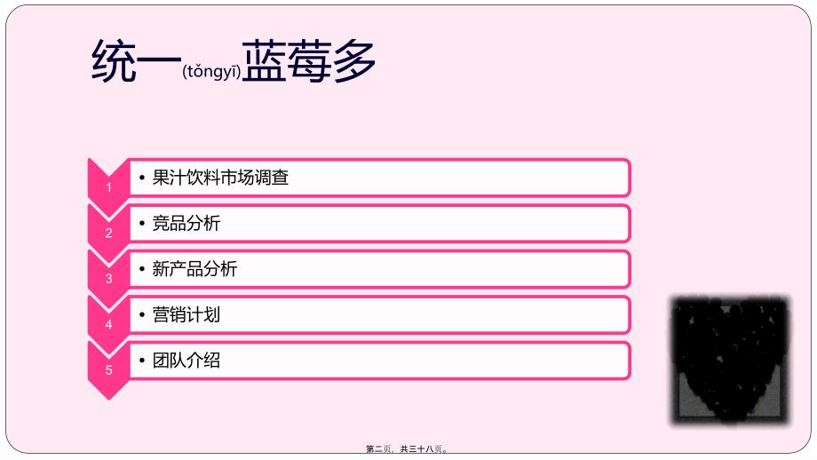 精品资料-统一蓝莓多营销方案_第2页