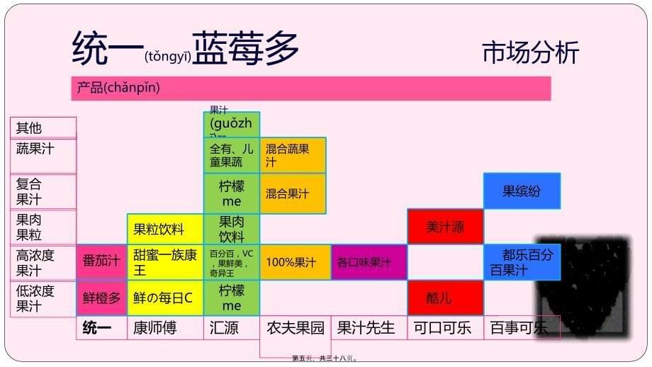 精品资料-统一蓝莓多营销方案_第5页