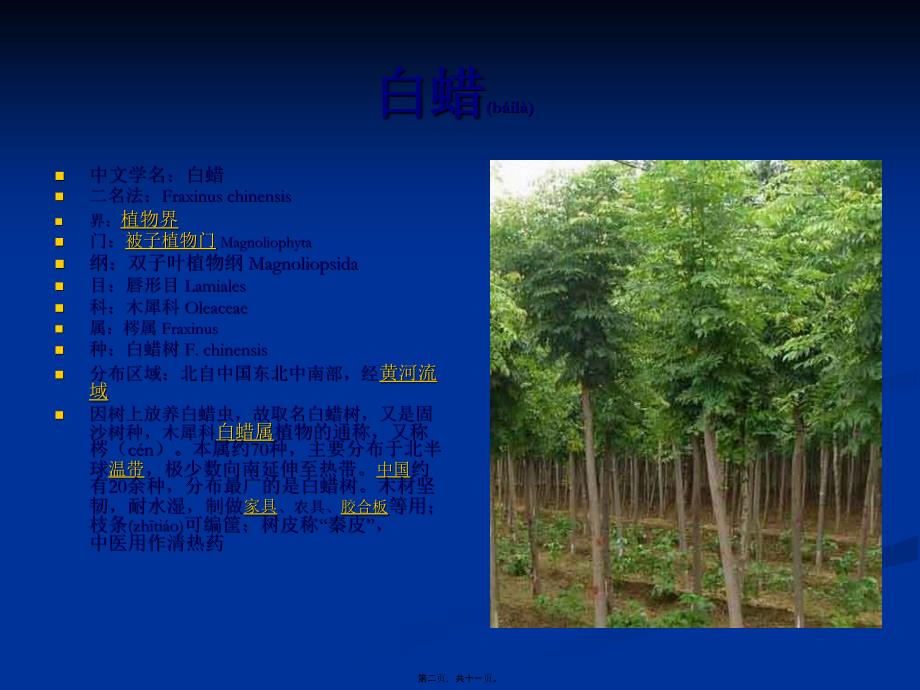 植物大观1-精细制造经典收藏_第2页