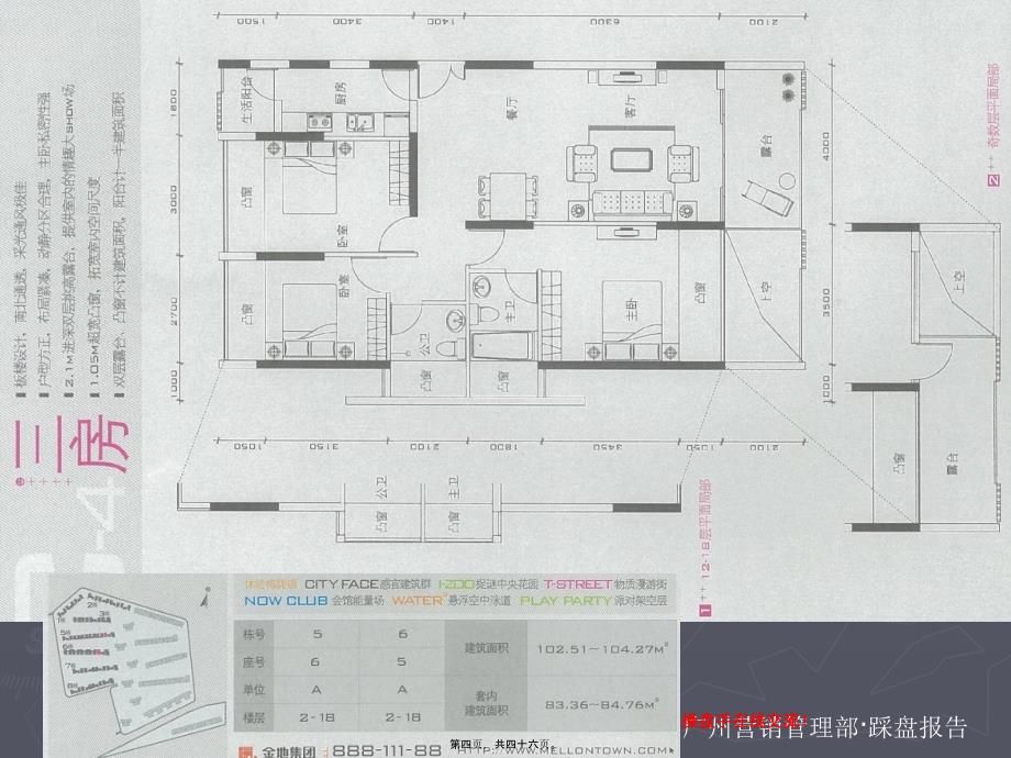 深圳-金地梅龙镇项目踩盘调研分析报告-45PPT_第4页