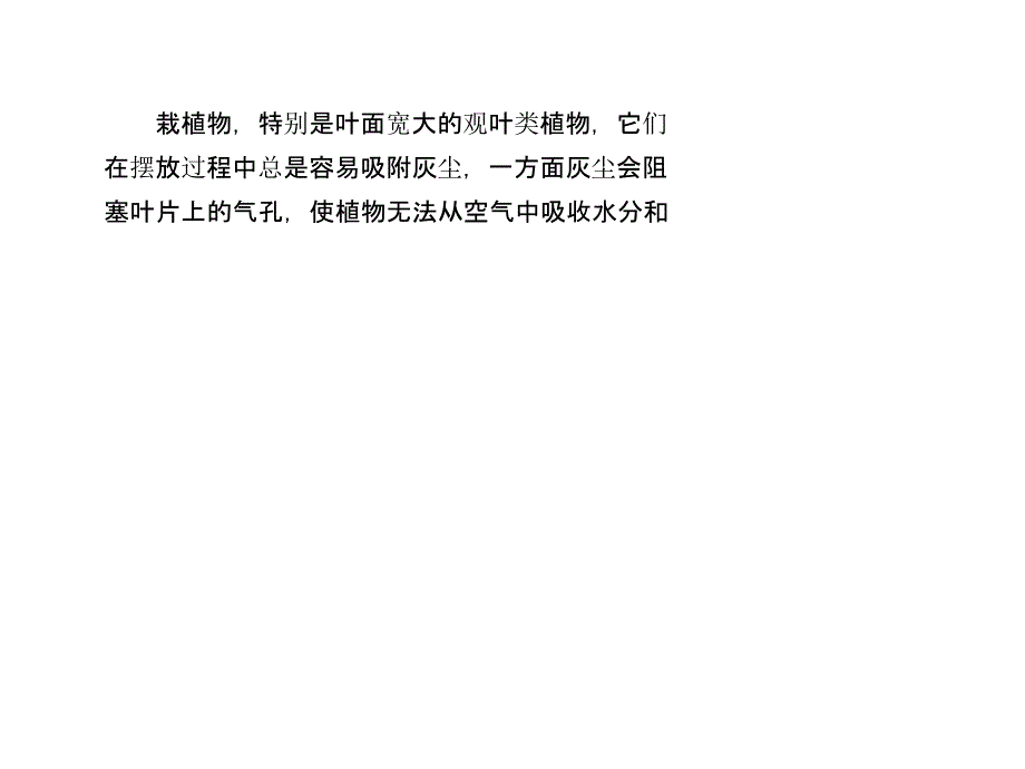 花卉叶片的清洗保养你做对了吗说课材料_第2页