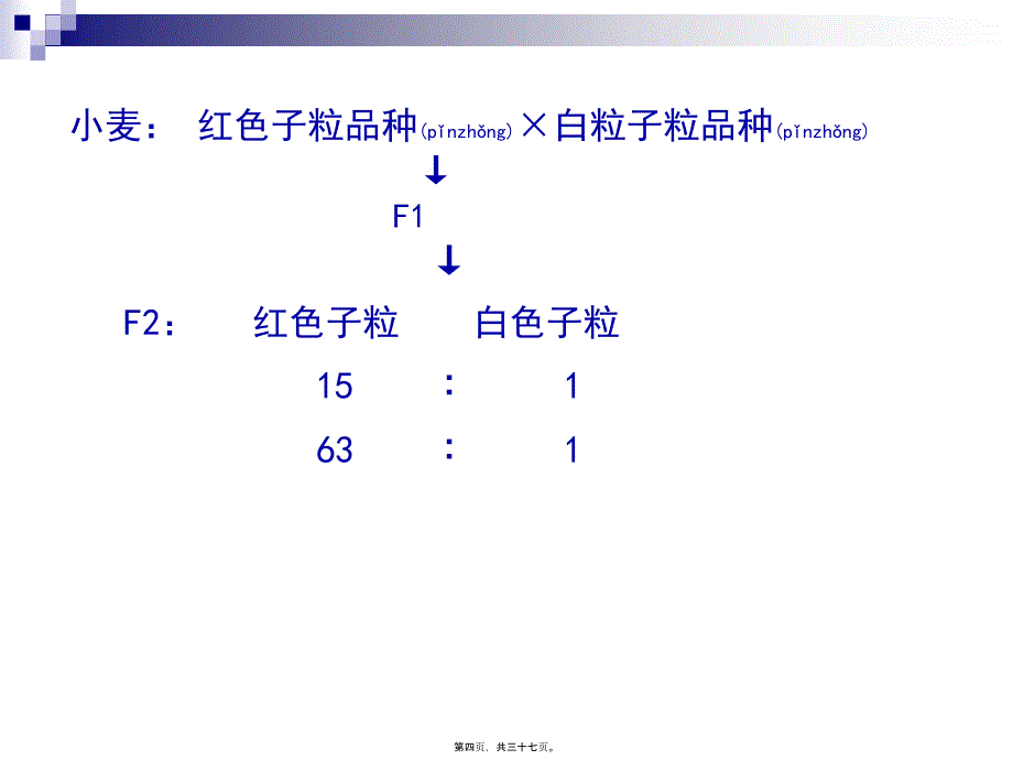 遗传学---第六章 数量遗传_第4页