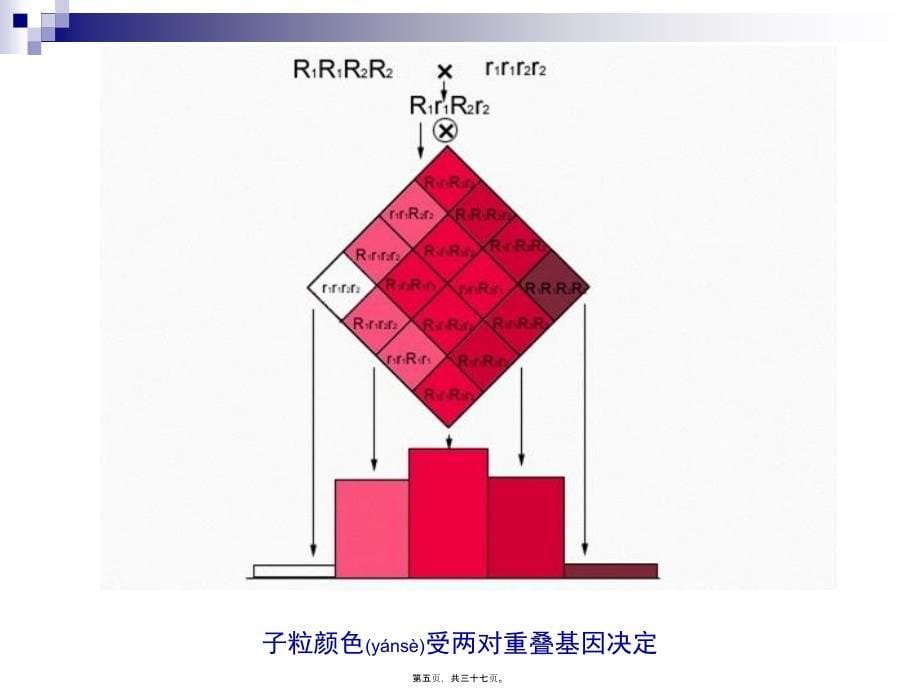 遗传学---第六章 数量遗传_第5页