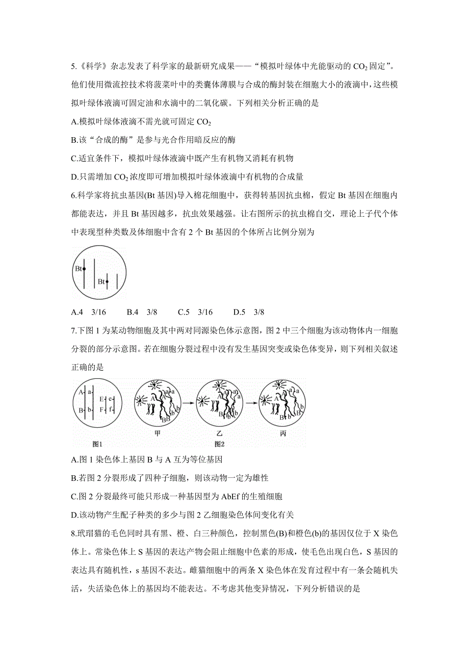 2022届高三全国高考分科综合模拟测试-生物-含答案_第2页