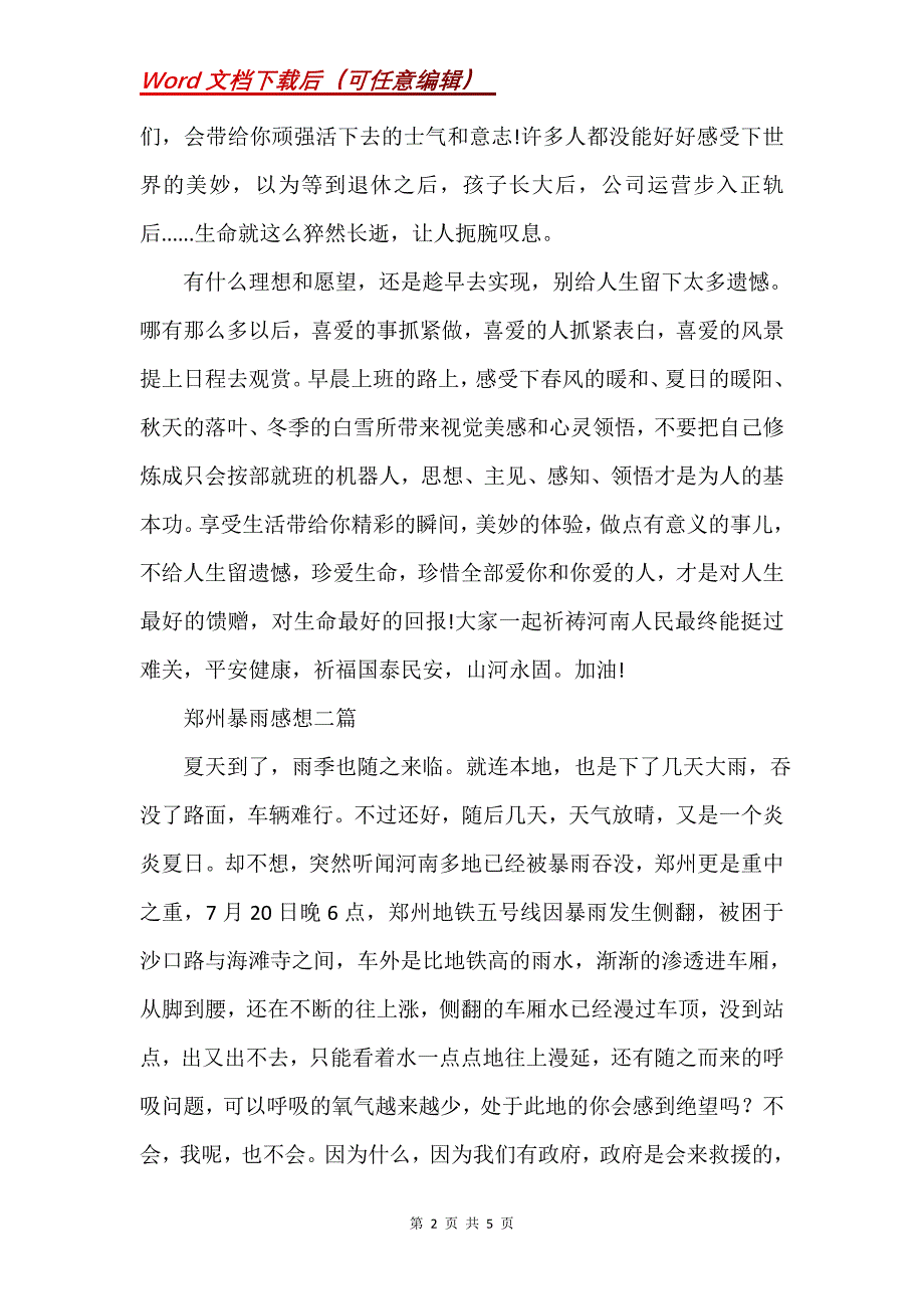 郑州暴雨感想三篇(Word）_第2页