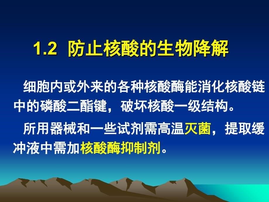 核酸分离纯化教学讲义_第5页