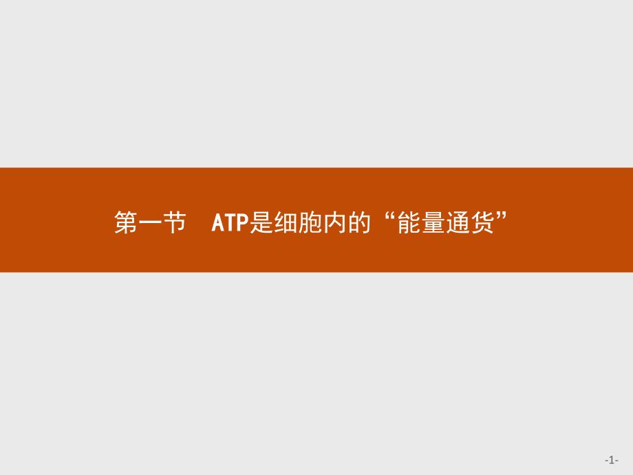 新教材高中生物浙科版必修1课件-第一节-ATP是细胞内的“能量通货”_第1页