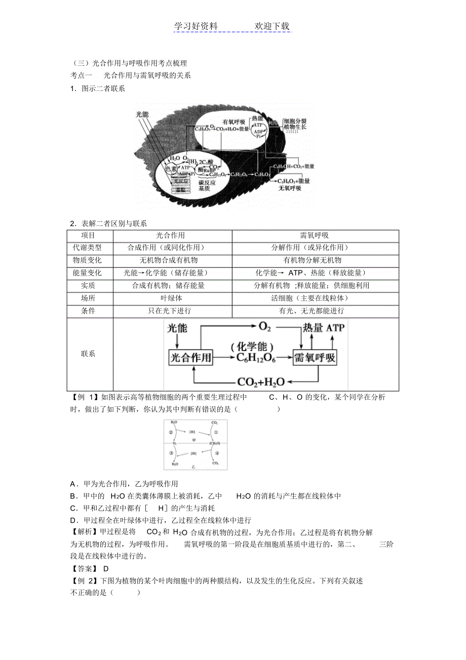 人教版教学教案第三章新陈代谢光合作用和呼吸作用_第3页