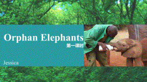 多维阅读14级Orphan Elephants-教学PPT课件