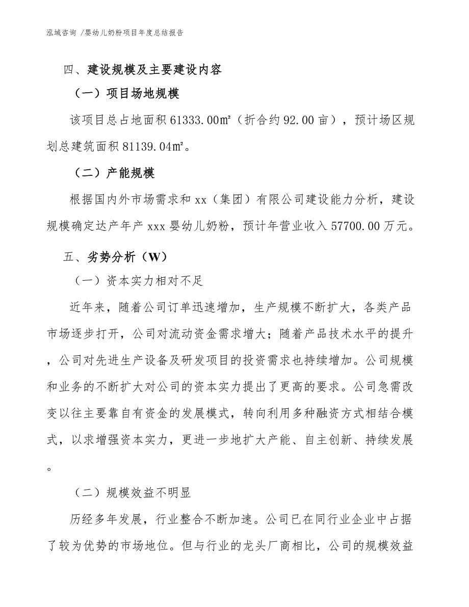 婴幼儿奶粉项目年度总结报告（模板范本）_第5页