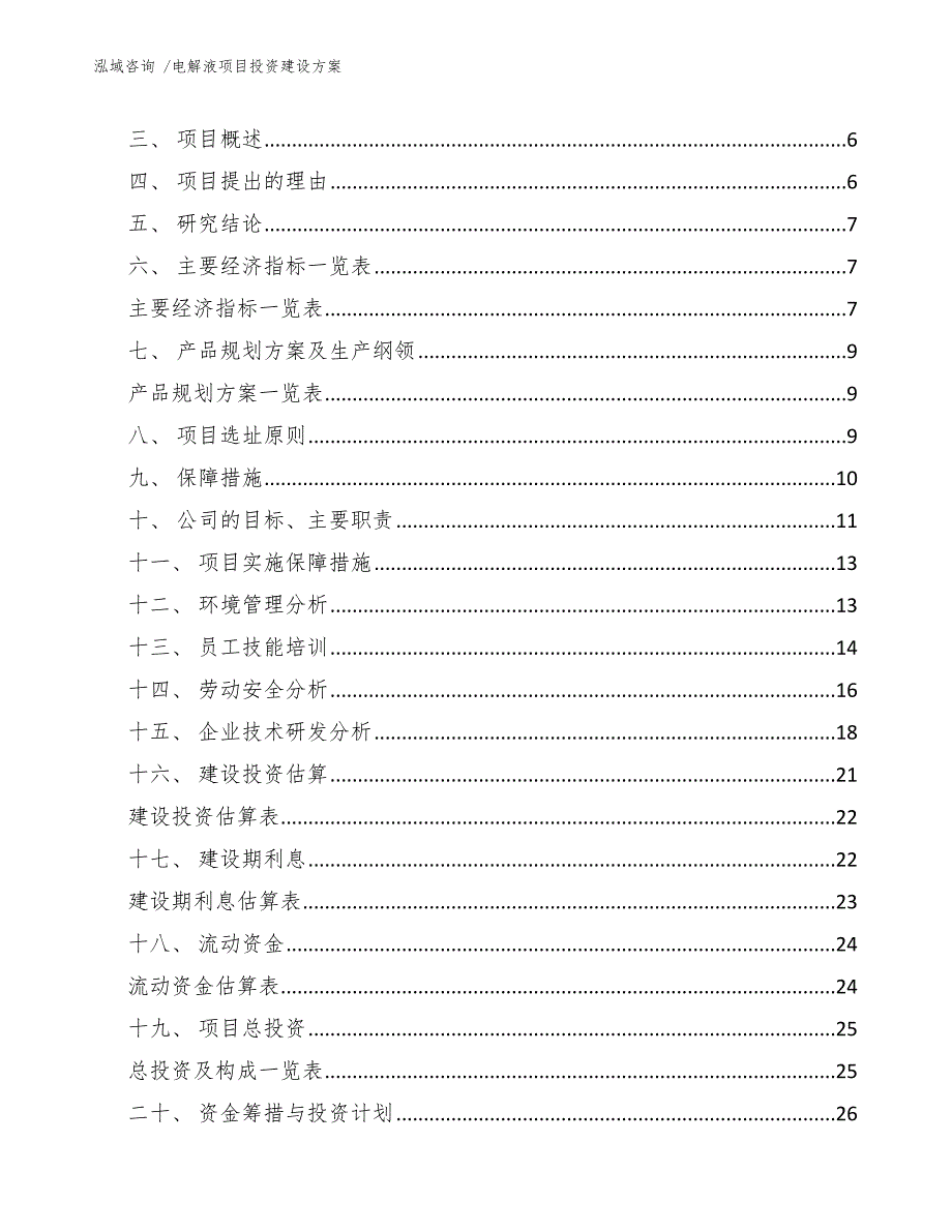 电解液项目投资建设方案（模板参考）_第2页