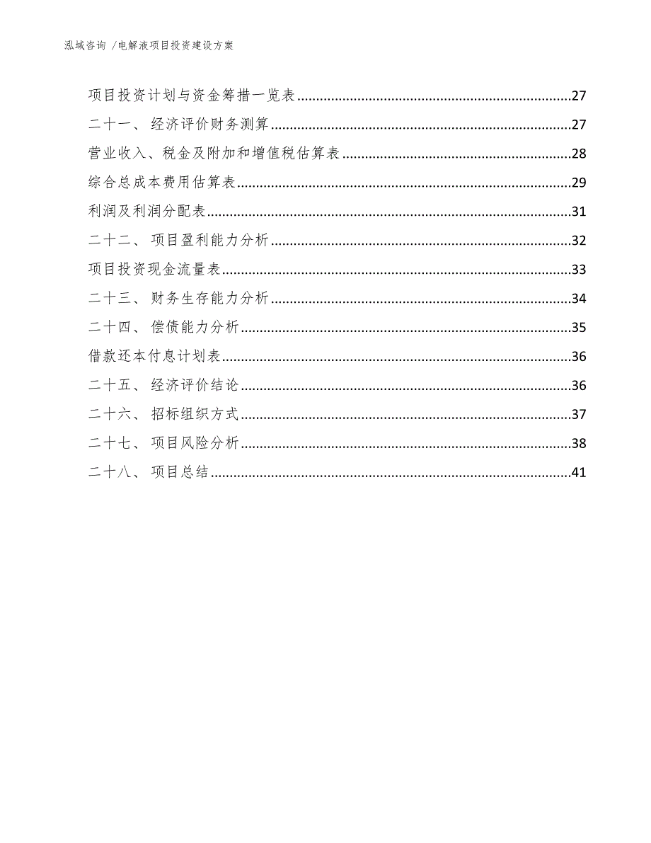 电解液项目投资建设方案（模板参考）_第3页