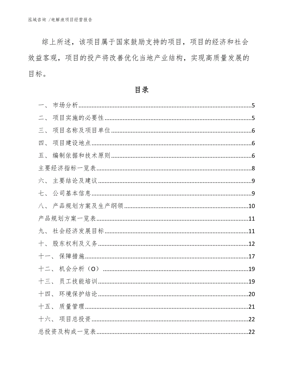 电解液项目经营报告（模板范文）_第2页