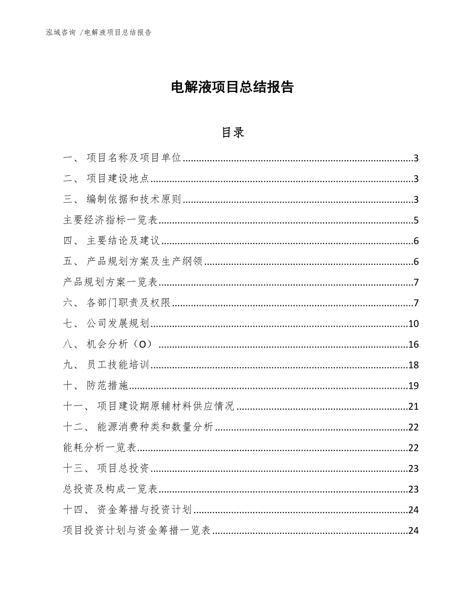 电解液项目总结报告（模板参考）_第1页