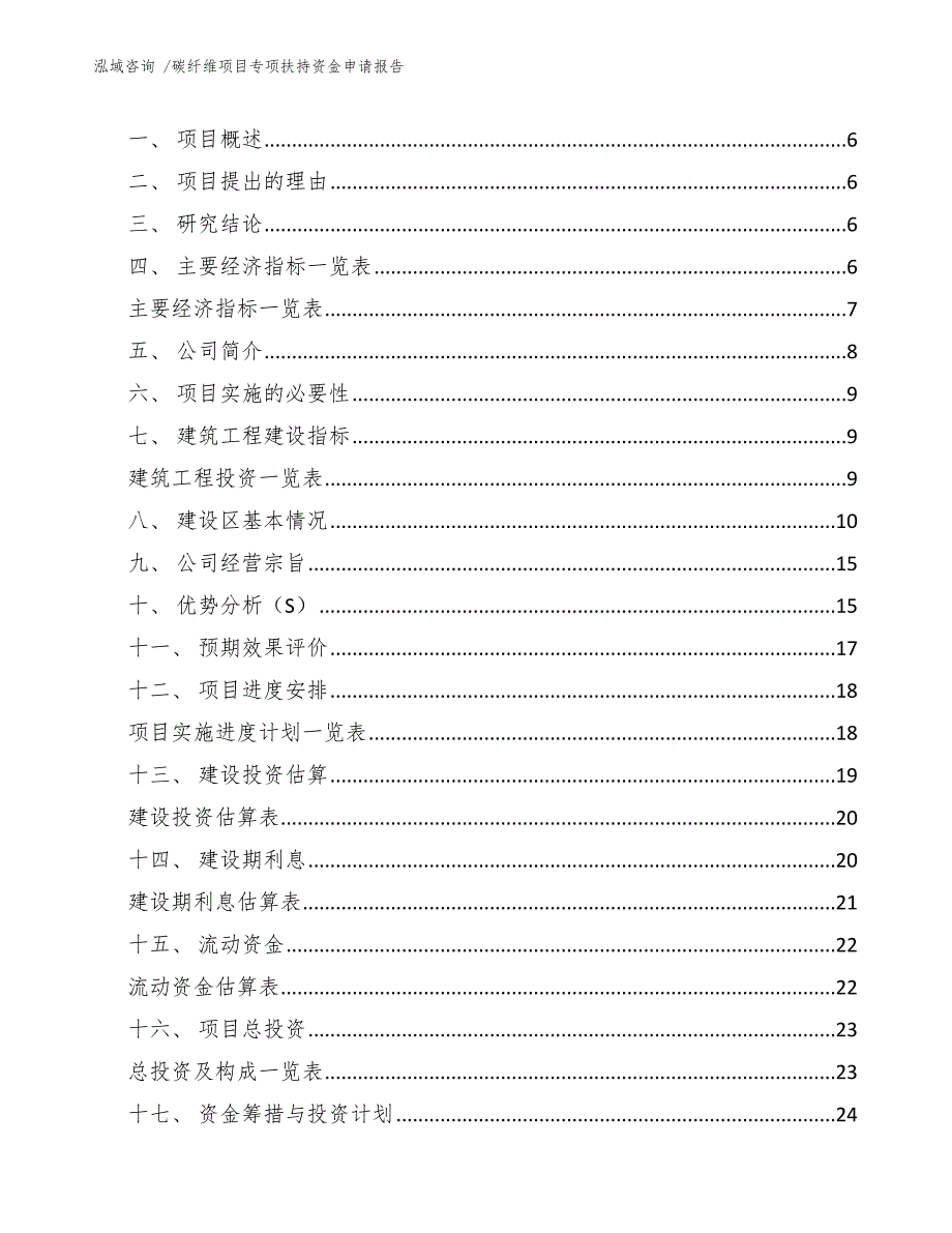 碳纤维项目专项扶持资金申请报告（模板参考）_第3页