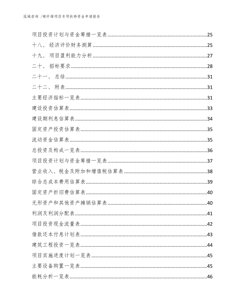 碳纤维项目专项扶持资金申请报告（模板参考）_第4页