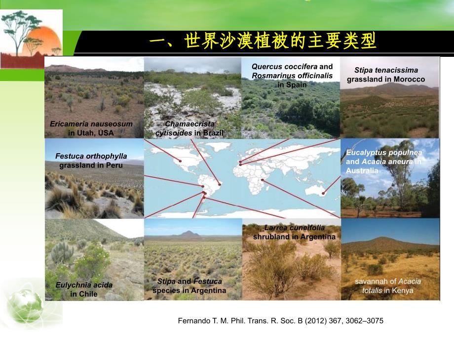 第六章沙漠地区的植被ppt课件_第2页