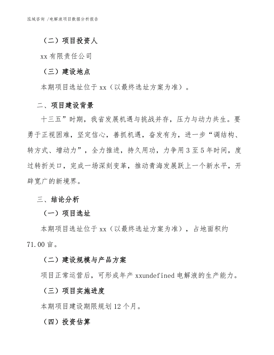 电解液项目数据分析报告（范文参考）_第4页