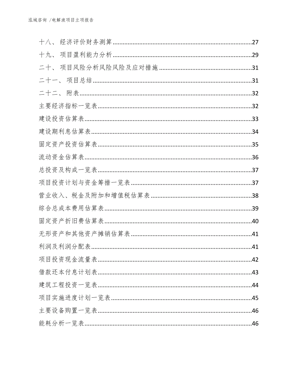 电解液项目立项报告（模板）_第3页