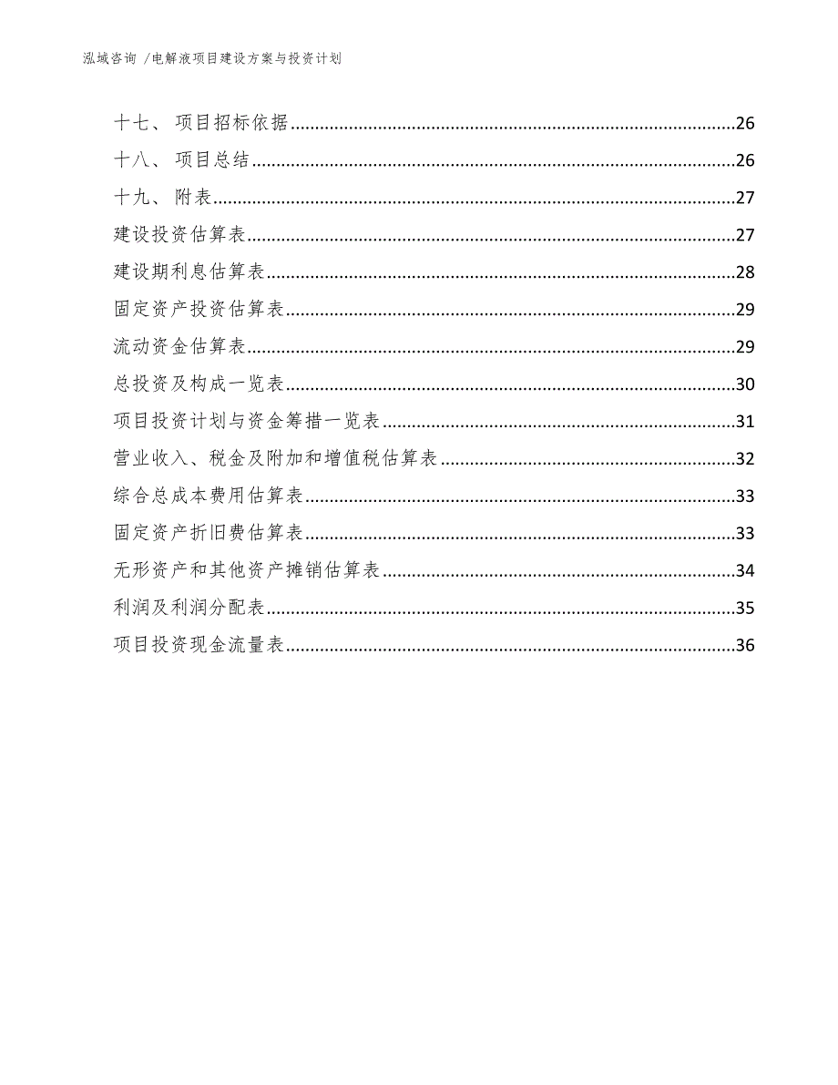 电解液项目建设方案与投资计划（范文模板）_第4页