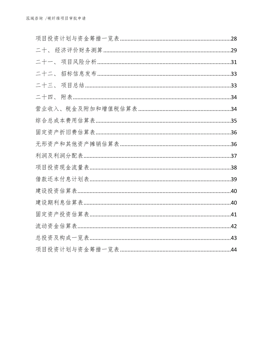 碳纤维项目审批申请（参考模板）_第4页