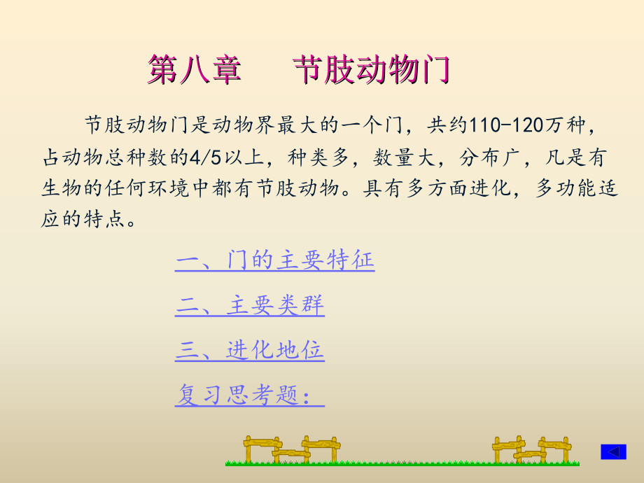 节肢动物门幻灯片_第3页